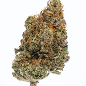 Peanut Butter Breath seeds