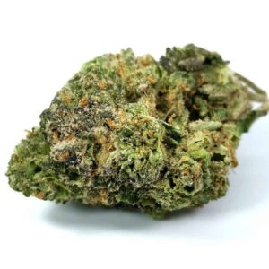 Ice Cream Cake seeds