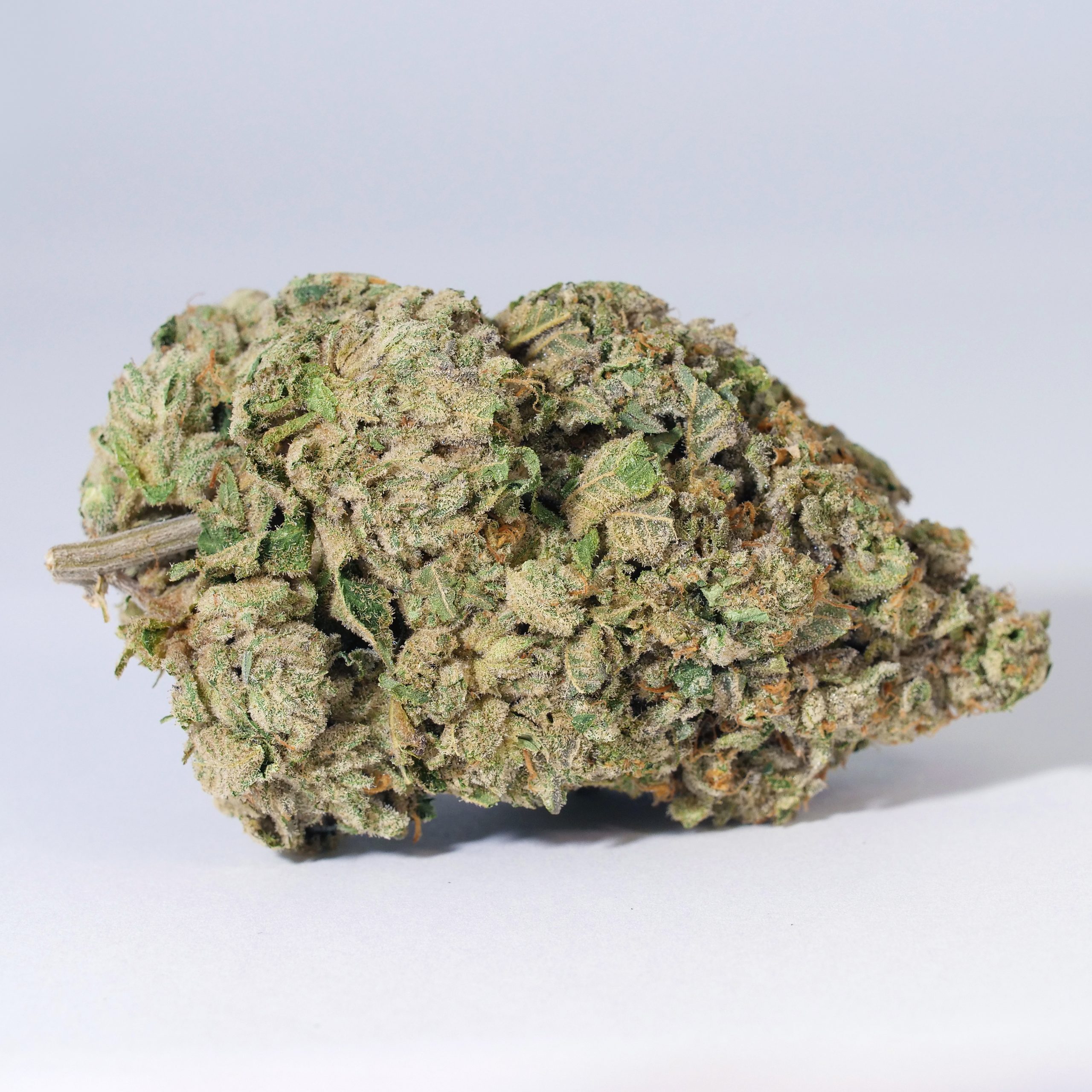 Wedding Cake Seeds - Sooner Products