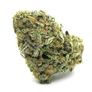 Forbidden Fruit seeds