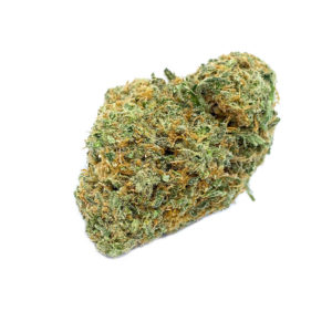 MAC and Cheese Seeds