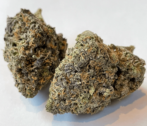 Animal Mints Seeds - Sooner Products