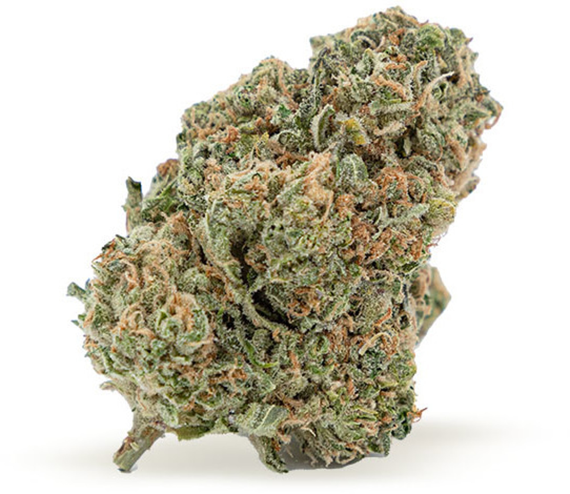 Crescendo Seeds - Sooner Smoke