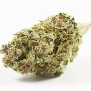 Black Cherry Punch seeds