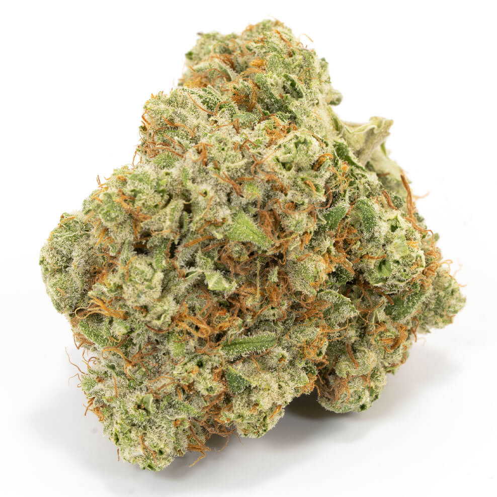 Fruity Lemonade Seeds - Sooner Products